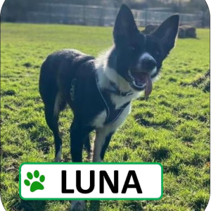 Luna Sponsorship Pack