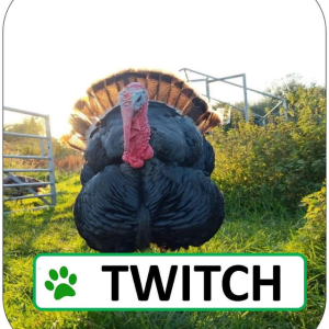 Twitch Sponsorship Pack